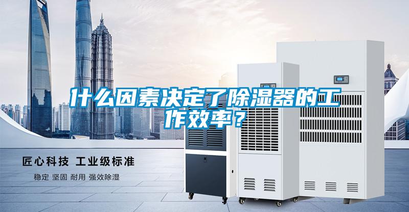 什么因素决定了除湿器的工作效率？