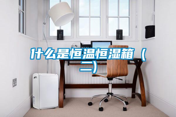 什么是恒温恒湿箱（二)