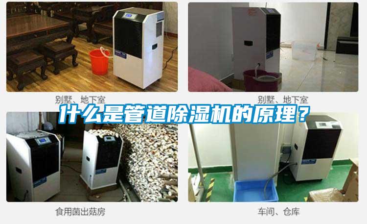 什么是管道除湿机的原理？