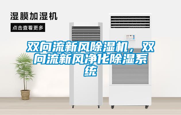 双向流新风除湿机，双向流新风净化除湿系统