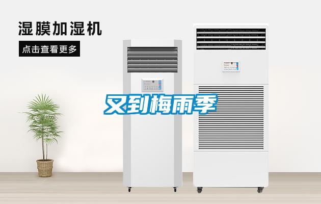 又到梅雨季