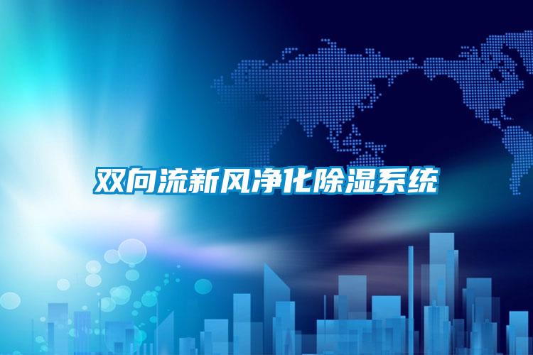 双向流新风净化除湿系统