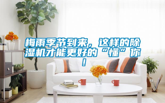 梅雨季节到来，这样的除湿机才能更好的“懂”你！