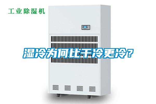 湿冷为何比干冷更冷？