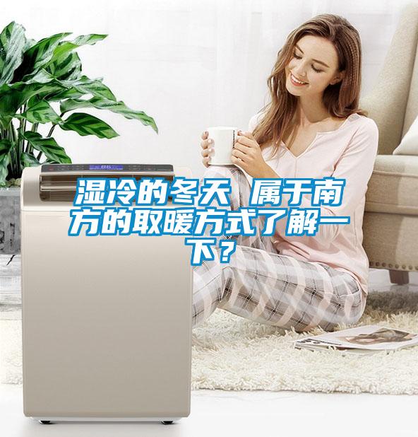 湿冷的冬天 属于南方的取暖方式了解一下？