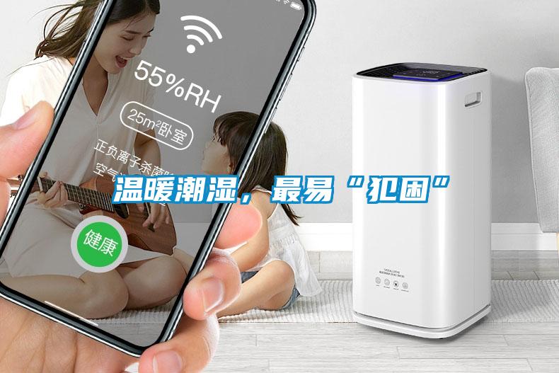 温暖潮湿，最易“犯困”