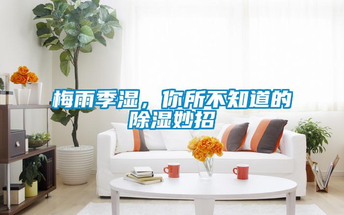 梅雨季湿，你所不知道的除湿妙招