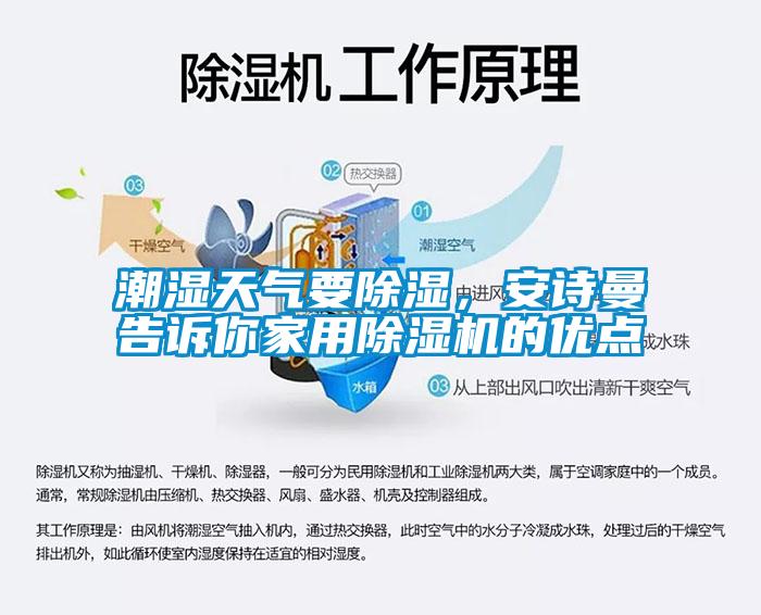 潮湿天气要除湿，安诗曼告诉你家用除湿机的优点
