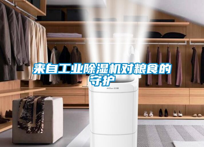 来自工业除湿机对粮食的守护