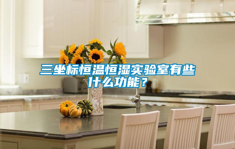 三坐标恒温恒湿实验室有些什么功能？