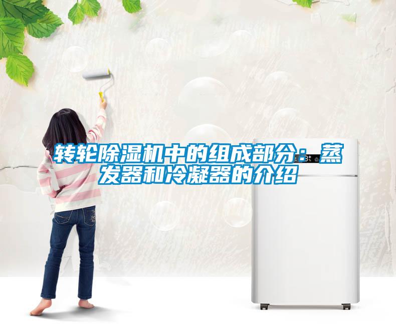 转轮除湿机中的组成部分：蒸发器和冷凝器的介绍