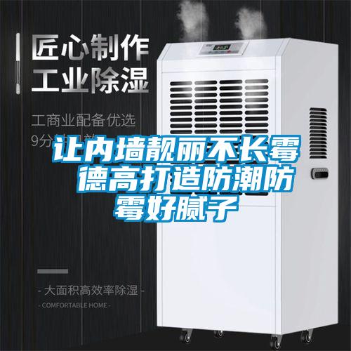 让内墙靓丽不长霉 德高打造防潮防霉好腻子