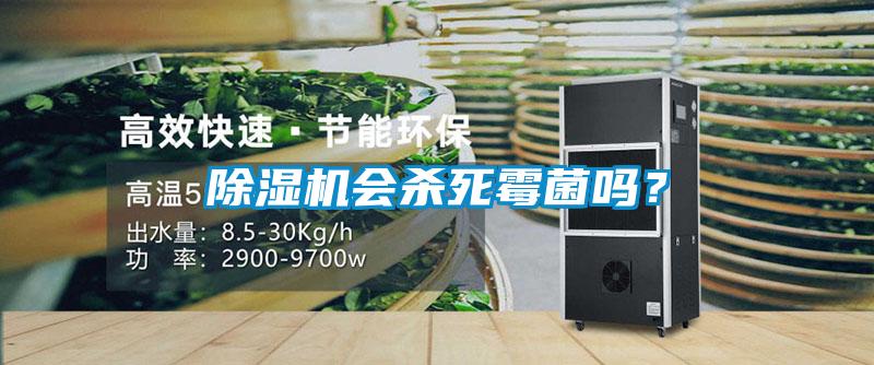 除湿机会杀死霉菌吗？