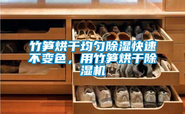 竹笋烘干均匀除湿快速不变色，用竹笋烘干除湿机