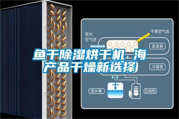 鱼干除湿烘干机 海产品干燥新选择