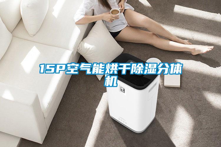 15P空气能烘干除湿分体机