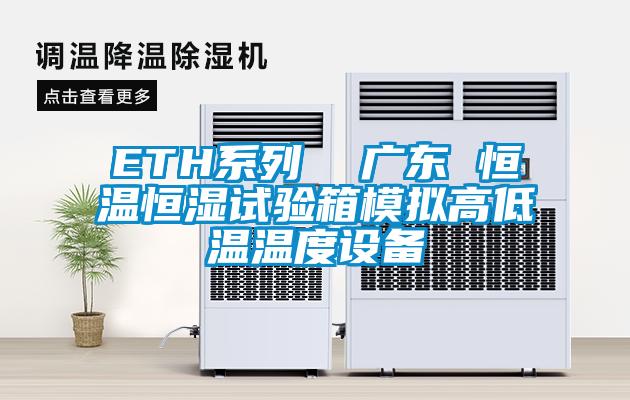 ETH系列  广东 恒温恒湿试验箱模拟高低温温度设备
