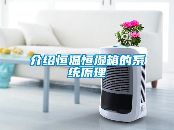 介绍恒温恒湿箱的系统原理