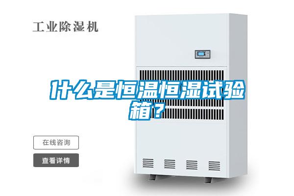 什么是恒温恒湿试验箱？