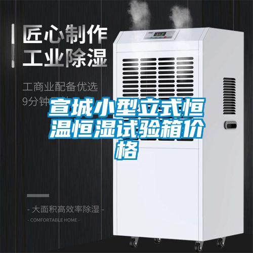 宣城小型立式恒温恒湿试验箱价格