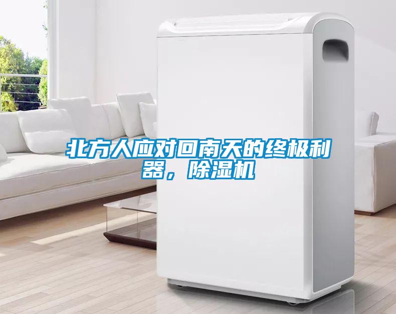 北方人应对回南天的终极利器，除湿机