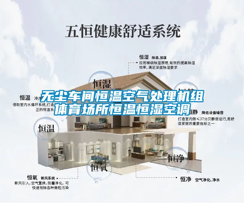 无尘车间恒温空气处理机组体育场所恒温恒湿空调