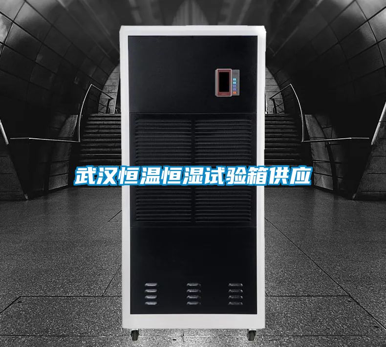 武汉恒温恒湿试验箱供应