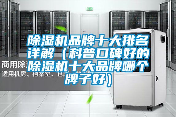 除湿机品牌十大排名详解（科普口碑好的除湿机十大品牌哪个牌子好）