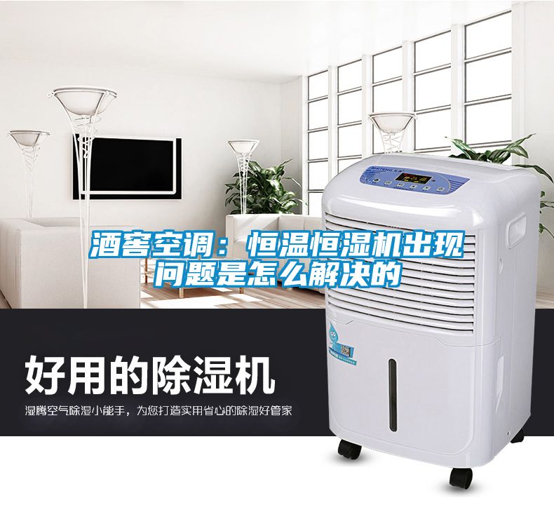 酒窖空调：恒温恒湿机出现问题是怎么解决的