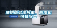 清明雨多湿气重，除湿机可快除湿