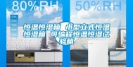 恒温恒湿箱 小型立式恒温恒湿箱 可编程恒温恒湿试验箱
