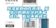 除湿机的工作原理，爱学习的朋友绝对不能错过，看完不再被忽悠!