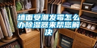 墙面受潮发霉怎么办除湿器来帮您解决