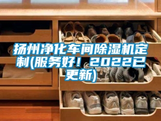 企业新闻扬州净化车间除湿机定制(服务好！2022已更新)