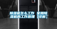 除湿机怎么工作 家用除湿机的工作原理【详解】