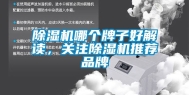 除湿机哪个牌子好解读，关注除湿机推荐品牌