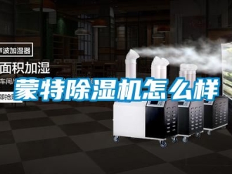 行业新闻蒙特除湿机怎么样
