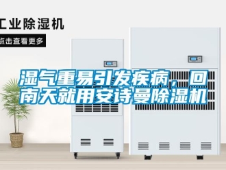 企业新闻湿气重易引发疾病，回南天就用安诗曼除湿机