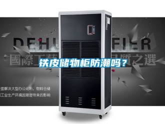 常见问题铁皮储物柜防潮吗？