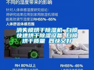 行业新闻消失模烘干除湿机 白模快速烘干除湿设备 白模烘干质量 既快又好