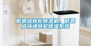 低露点转轮除湿机，低露点环境转轮除湿系统