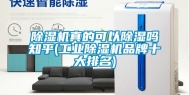 除湿机真的可以除湿吗知乎(工业除湿机品牌十大排名)