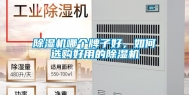 除湿机哪个牌子好，如何选购好用的除湿机