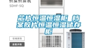 芯片恒温恒湿柜 档案胶片恒温恒湿储存柜