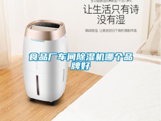 企业新闻食品厂车间除湿机哪个品牌好