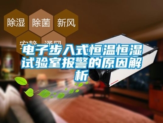 知识百科电子步入式恒温恒湿试验室报警的原因解析