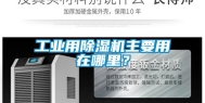 工业用除湿机主要用在哪里？