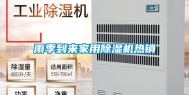 雨季到来家用除湿机热销