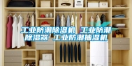 工业防潮除湿机 工业防潮除湿器 工业防潮抽湿机