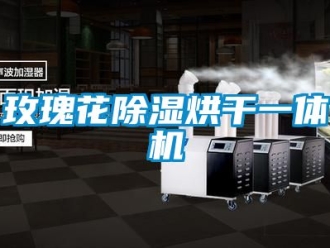 行业新闻玫瑰花除湿烘干一体机